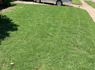Marjorie S.'s turf maintenance service result