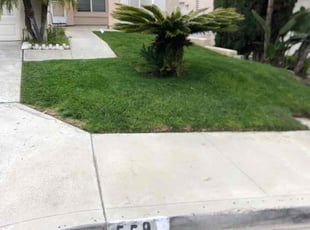 Tracy B.'s grass cutting service result