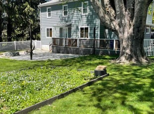 Melissa D.'s lawn care services service result