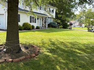 Terry T.'s turf maintenance service result