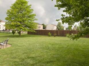 Marilyn S.'s lawn care service result
