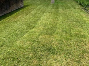 Rebecca C.'s lawn care services service result