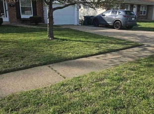 Violet T.'s turf maintenance service result