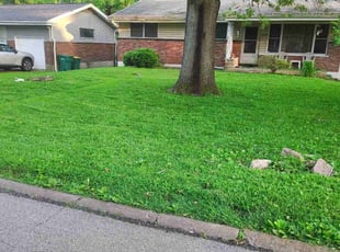 Kent Y.'s turf maintenance service result
