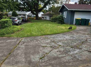 Michael S.'s lawn service service result