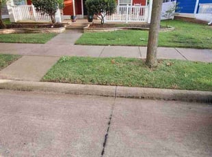 Laura B.'s lawn service service result