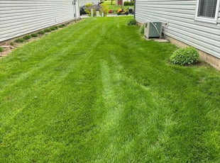 Kevin M.'s lawn care service result