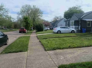 Yaqoob S.'s lawn care service result