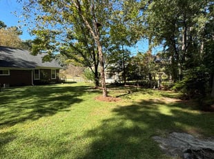 Roger C.'s turf care service result