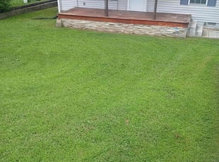 Ron M.'s lawn maintenance service result
