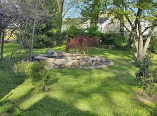 Veronica B.'s turf maintenance service result