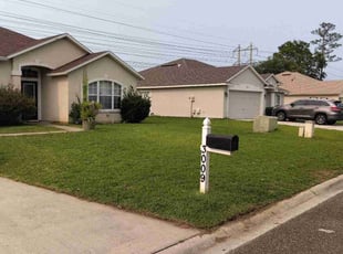 Francisco C.'s lawn service service result