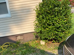 John P.'s Bush Trimming service result