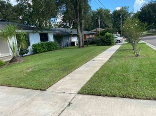 Vicki C.'s grass cutting service result