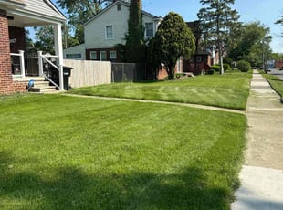 Jenessa M.'s grass maintenance service result