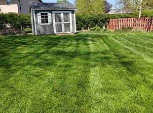 Richard M.'s turf maintenance service result