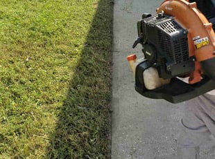 Patrick W.'s Long Grass Cleanup service result