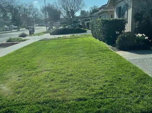 Mark S.'s lawn care services service result