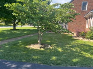 Scott G.'s lawn care services service result