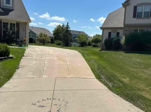 Sanjeda M.'s lawn care services service result