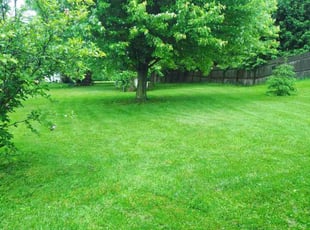Richard M.'s grass maintenance service result
