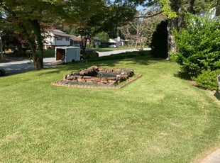Megan D.'s lawn maintenance service result