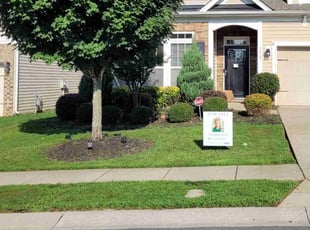 Todd S.'s grass maintenance service result