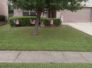 Linda M.'s turf care service result