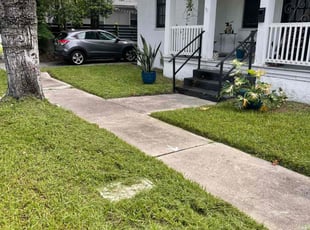 Angela C.'s turf care service result