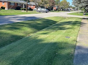 Christopher J.'s grass cutting service result