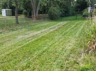 Ann B.'s lawn service service result