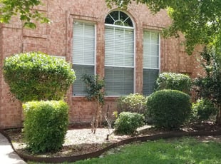 Walter H.'s Bush Trimming service result