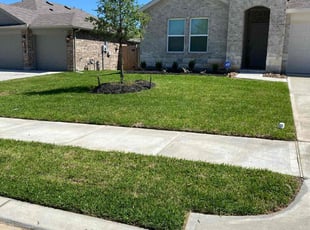 Chris T.'s lawn care services service result