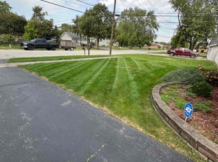 Lindsay S.'s grass maintenance service result