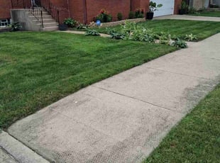 Jeremy O.'s grass maintenance service result