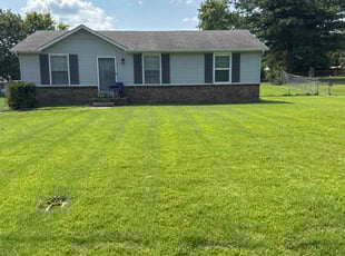 Nyse C.'s lawn service service result