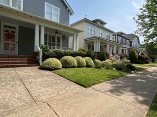 Tae W.'s Bush Trimming service result