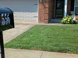 Paige T.'s landscaping services service result