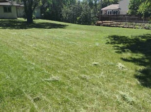 Mike A.'s turf maintenance service result