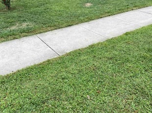 Rodney S.'s lawn care services service result