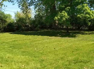 Normand L.'s Long Grass Cleanup service result