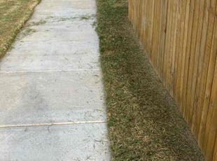 Steven D.'s lawn care services service result
