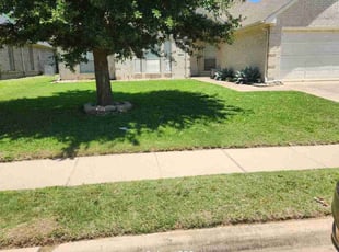 Dallas G.'s lawn care services service result