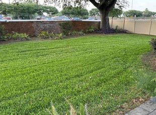 Pam W.'s lawn care services service result
