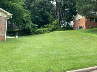 Avelina R.'s lawn care services service result
