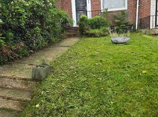 Suzanne W.'s grass cutting service result
