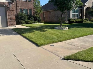 Alisa B.'s grass cutting service result