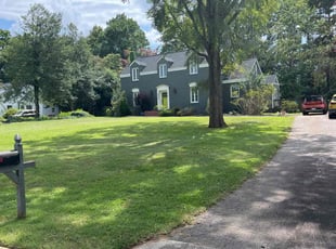 Griffin M.'s turf care service result