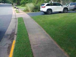 Victoria T.'s lawn service service result