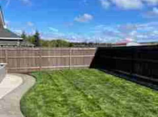 Brian K.'s turf care service result